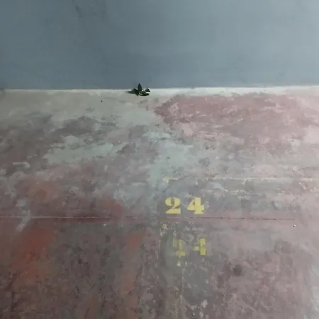 アパート Barcelo 30, Terrace, Center, Garage On Request, Quite Neighborhood, Ba マラガ